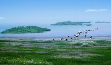 鄱陽湖